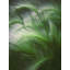 Soft Grass Print by Scott Norris-65826300-65851986