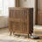 Modern Shoe Cabinet