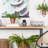  Helmville Dotted Black Owl Sculpture For Home Decor-575708402