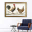 « coq sketch i », reproduction d’impression sur toile tendue-28078133-28078137-28078141