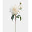 Real Touch Prestige rose rose 22 po-1152958053