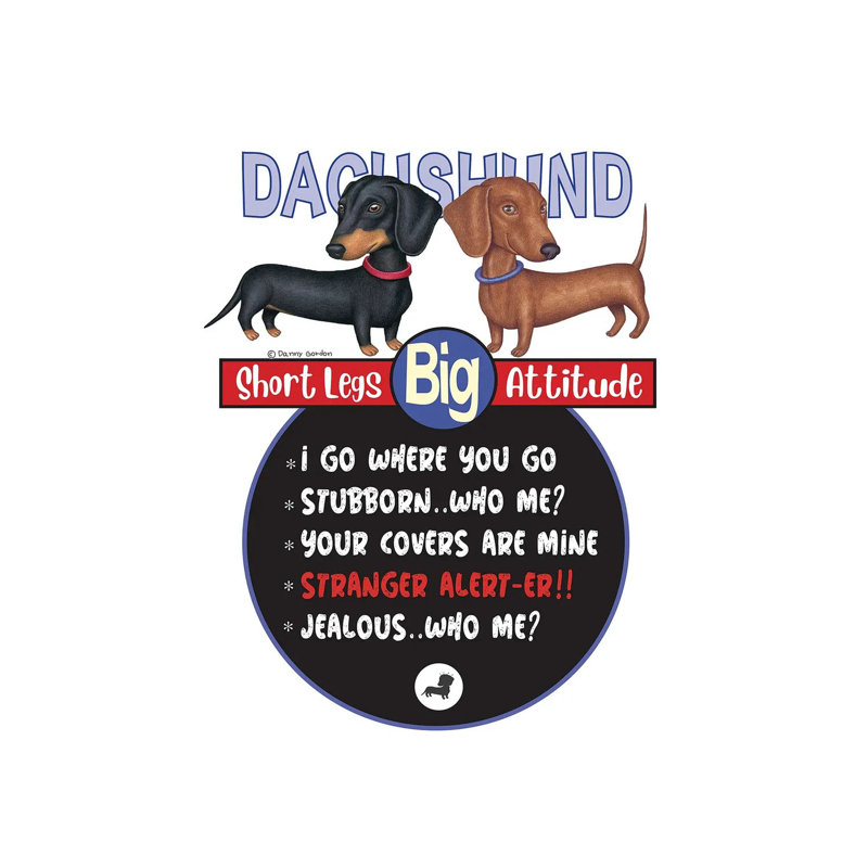 2 Dachshunds Standing by Danny Gordon - Wrapped Canvas Print, 101.6 cm H x 66.04 cm W x 3.175 cm D