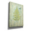  'Natural Floral 13 Butterfly' by Danhui Nai Canvas Wall Art