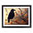 Black Framed selected