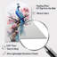 «Blue Pink Peacock Watercolor I - Peacock», horloge murale asymétrique-104240707