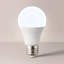 E27 LED GLS Light Bulb-124213077-73097535