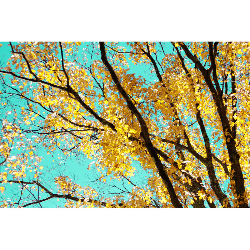 Autumn Tapestry IV by Judy Stalus - Wrapped Canvas Print, 51cm H x 76cm W