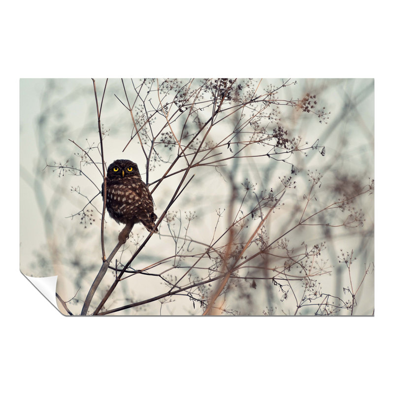 Owl In Winter - Wrapped Canvas Print, 31cm H x 46cm W, Paper
