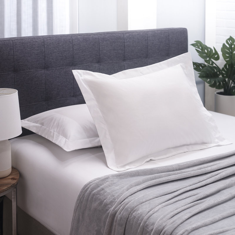 Sham Set, Standard/Twin, White 