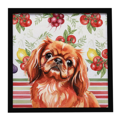«Red Pekingese Légumes», impression sur métal encadrée