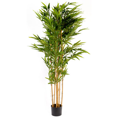 200cm Faux Bamboo Tree in Pot
