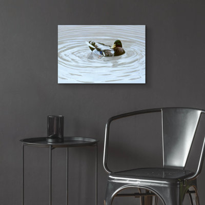 «Preening» par Ron Parker, art mural en verre acrylique