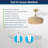 Ayane 12'' Ceiling Fan with Light Kit-1134833832-1134833835