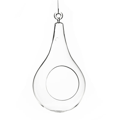 Terrarium en verre à larme Wainwright