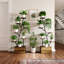Plant Stand 2 Tier Set of 2