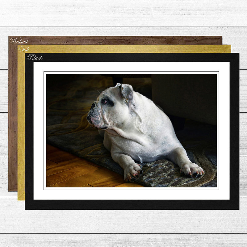Single Picture Frame Print, Black