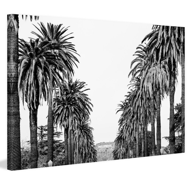 Morgan J Hartley - No Frame Print on Canvas, 61cm H x 91cm W x 3.81cm D