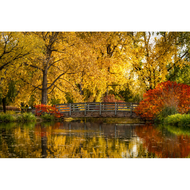 Clématine couleurs d'automne dans le parc par Tvirbickis, H 8 po x l 12 po x P 1,25 po