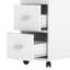 35cm Wide 2 -Drawer Mobile File Cabinet