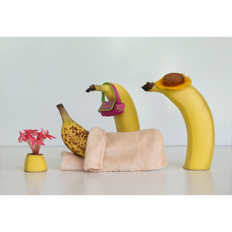 Wrapped Canvas Print, 76.2 cm H x 50.8 cm W