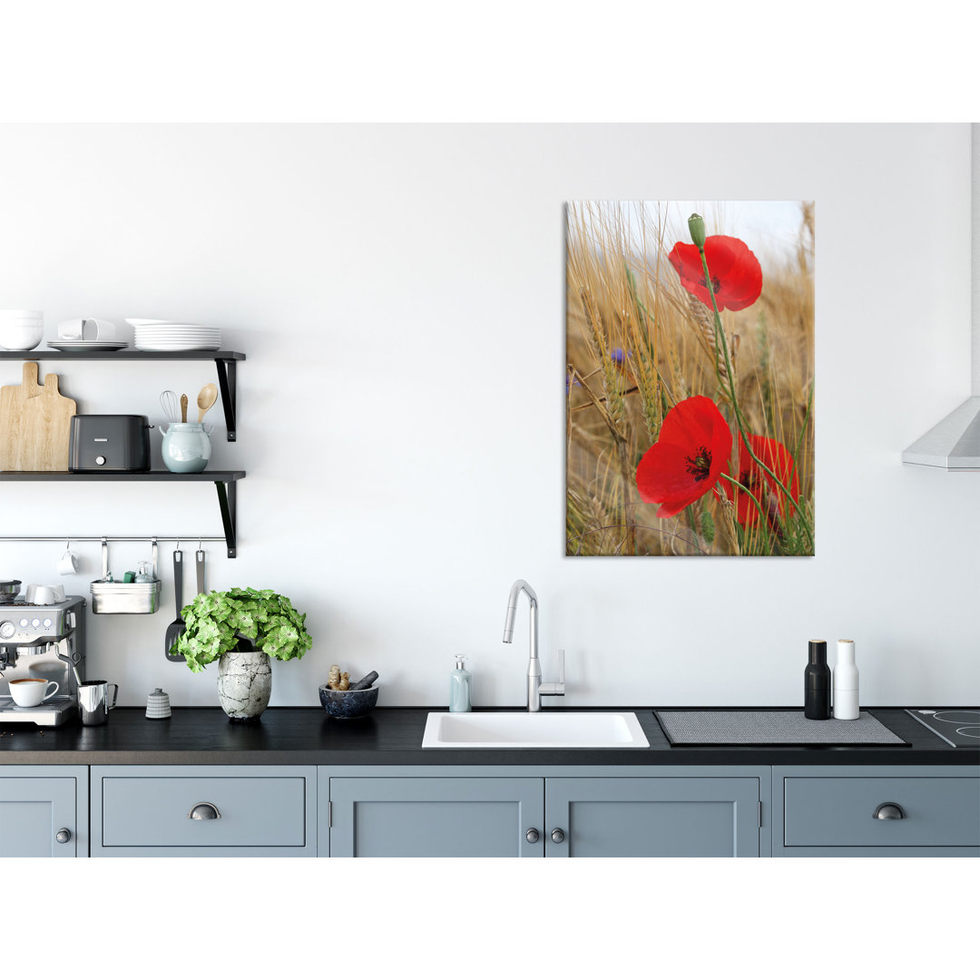 Ungerahmtes Foto auf Glas "Poppies in a Cornfield"