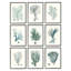 Arrangement de coraux profonds, plante de l'océan bleu par Johann Esper-70677950-70677952