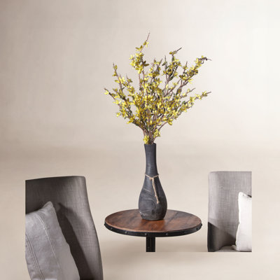 Forsythia Floral Stems