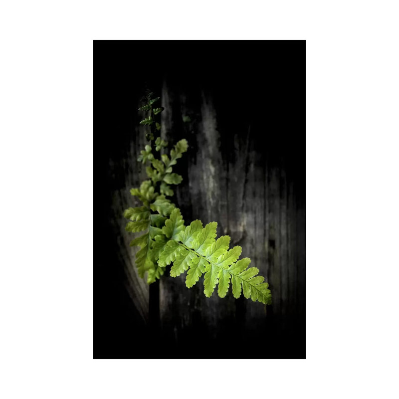 Green Power - Wrapped Canvas Print, 101.6 cm H x 66.04 cm W x 1.91 cm D