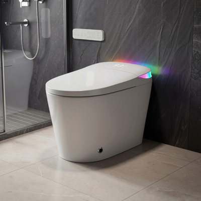 Smart One-Piece Toilet
