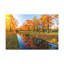 No Frame Print on Canvas-1430389357