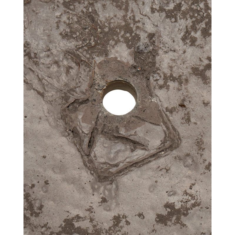 Cultivar Concrete Outdoor Planter, Medium