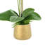 Arrangement d'orchidées en pot Polysilk