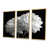 Toile avec cadre flottant or
