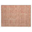 Tapis intérieur / extérieur Ayush-1422600342