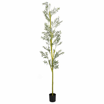 300cm Plant