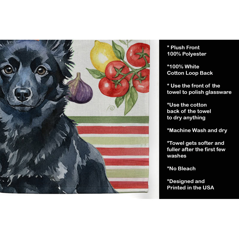 Torchon Schipperke, Schipperke