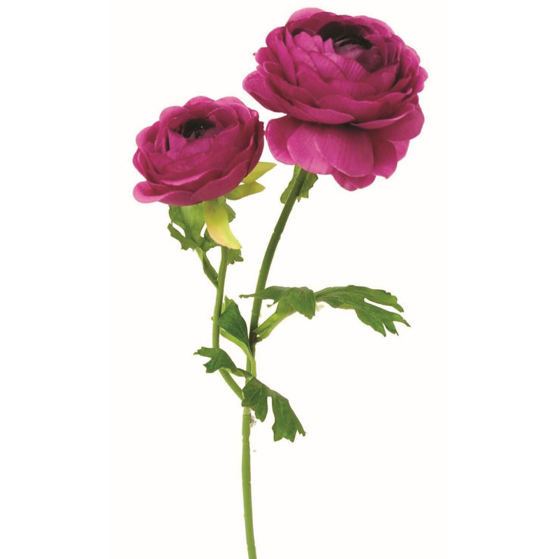 Ranunculus Arrangement, Purple