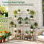 Plant Stand