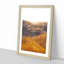 Trail on the Desert - Picture Frame Painting Print-56855691-56855687