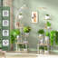 Support pour plante Renetia-1796624131