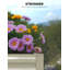 Lit de jardin surélevé en acier 2Pack 6x3x2ft / 8x4x2ft-864069618-864069620