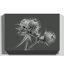 Thistle - Wrapped Canvas-19096601
