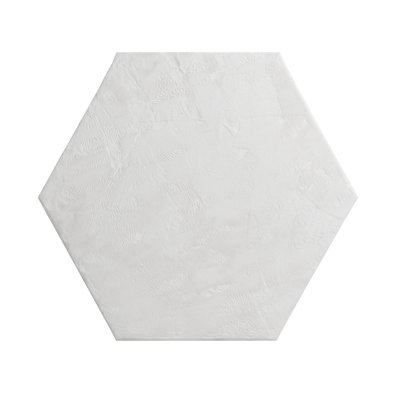 Dagoberto Uniform Color Shag Area Rug