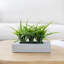 21.1cm Faux Plant
