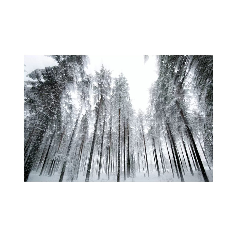 Trees In Motion by Andreas Stridsberg - Gallery-Wrapped Canvas Giclée on Canvas, Canvas, 20.32 cm H x 30.48 cm W