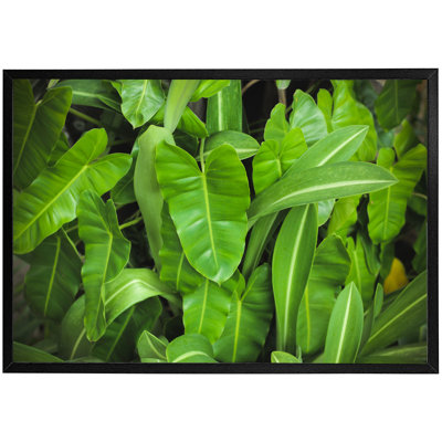Dagoberto Abstract Background Of Dark Green Leaves - Single Picture Frame Print