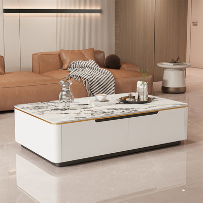Modern rectangular rock plate coffee table
