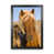 Black Framed is unavailable