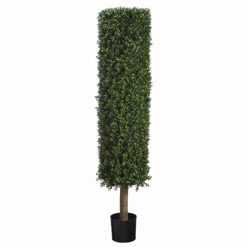 54'' Black Plastic Boxwood Topiary with Lights