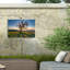 Toile d'extérieur «Tree Shadows» Blomquist Chris Moyer-87946006